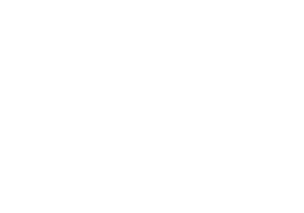 Fast Shipping