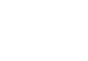 Customer Support